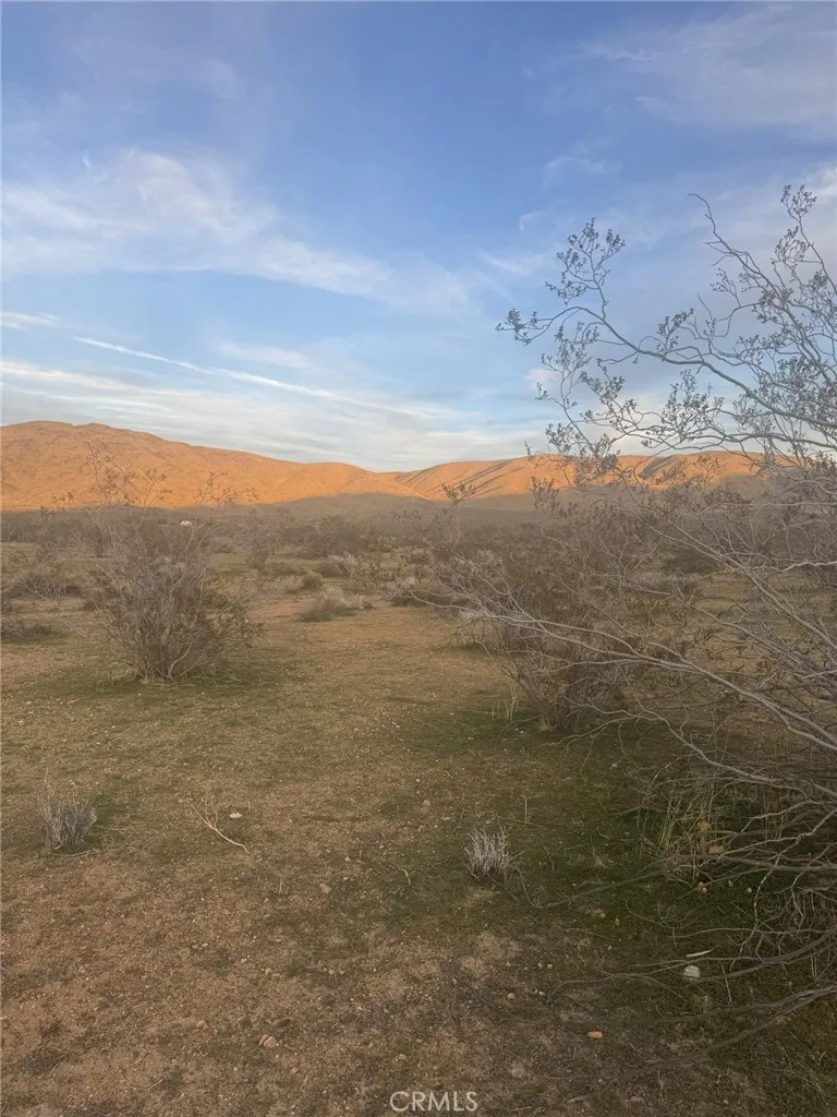 Additional image 8 of Canfield, Apple Valley, CA 92307