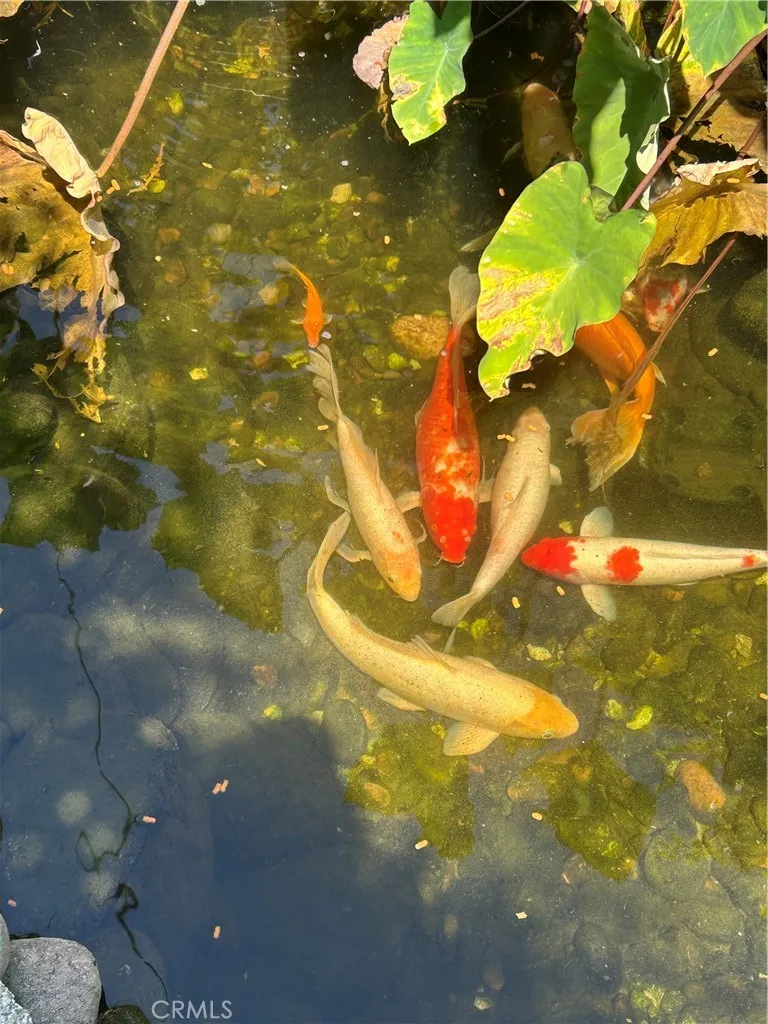 Additional image 29 of 665 N. San Antonio Ave., Upland, CA 91786