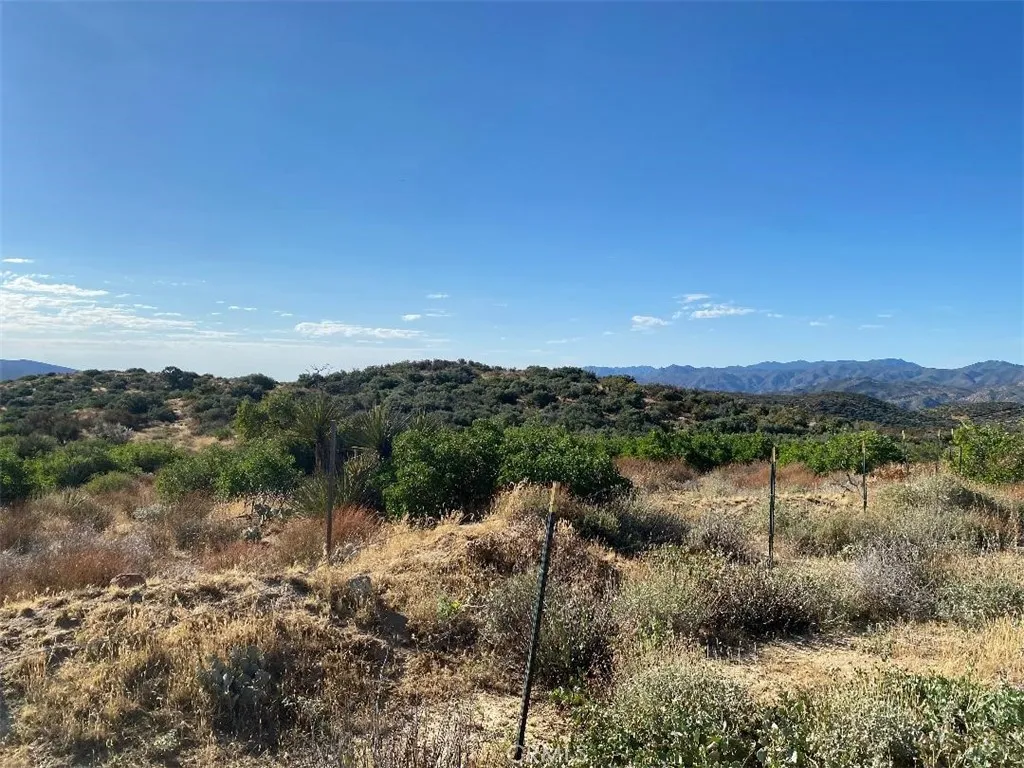 Additional image 17 of 63151 Table Mountain Truck, Anza, CA 92561