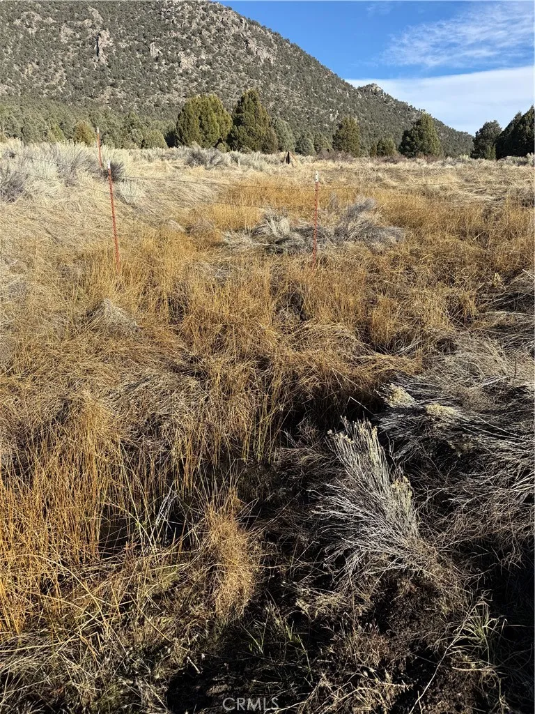 Additional image 16 of 310-190-028 Sacatar Ranch Road, Kennedy Meadows, CA 93527