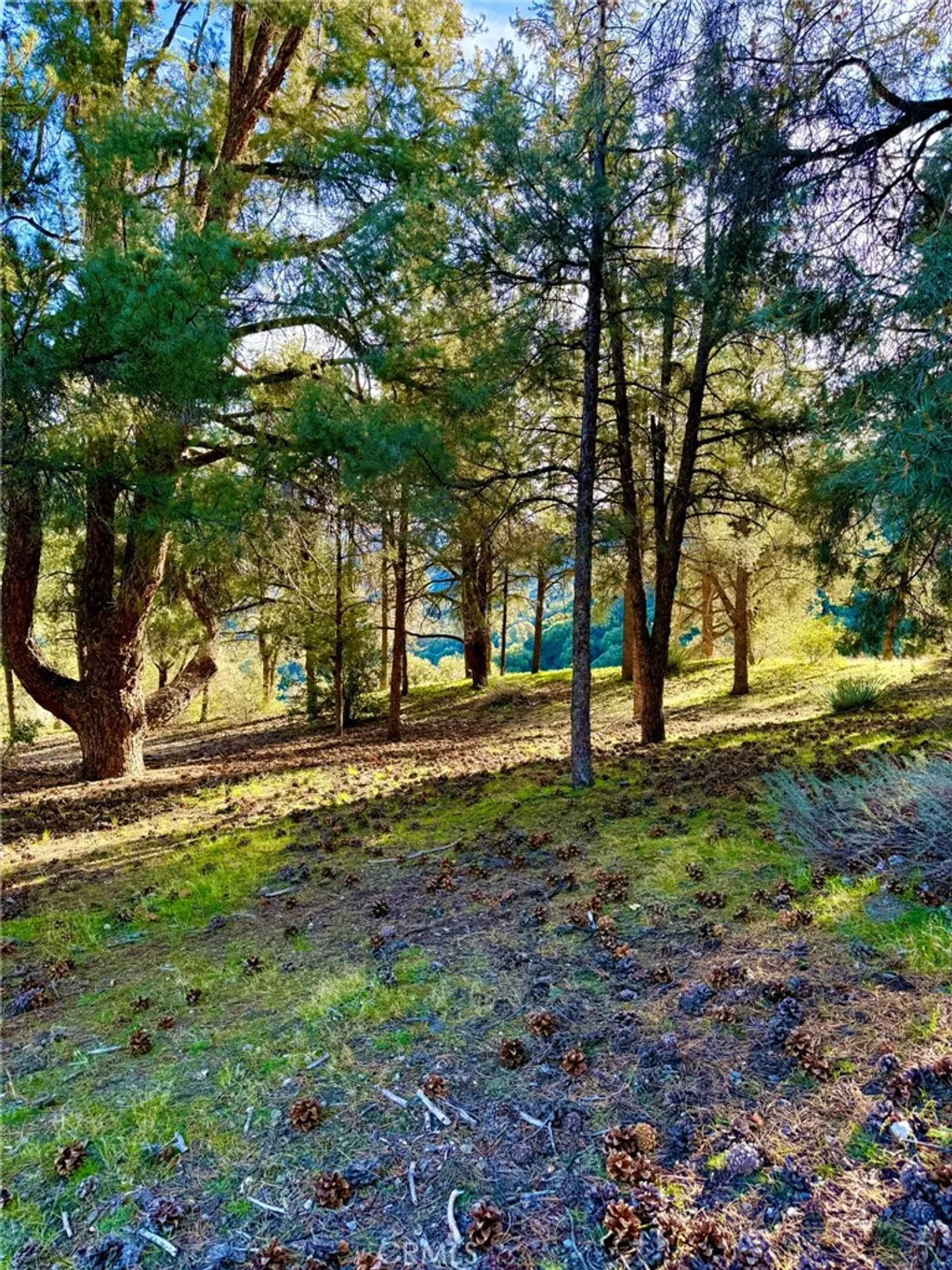 Additional image 2 of 2604 Tirol, Pine Mountain Club, CA 93225