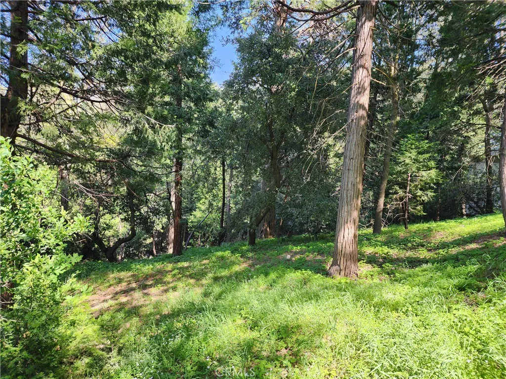 Additional image 36 of 811 Deer Trail, Crestline, CA 92325