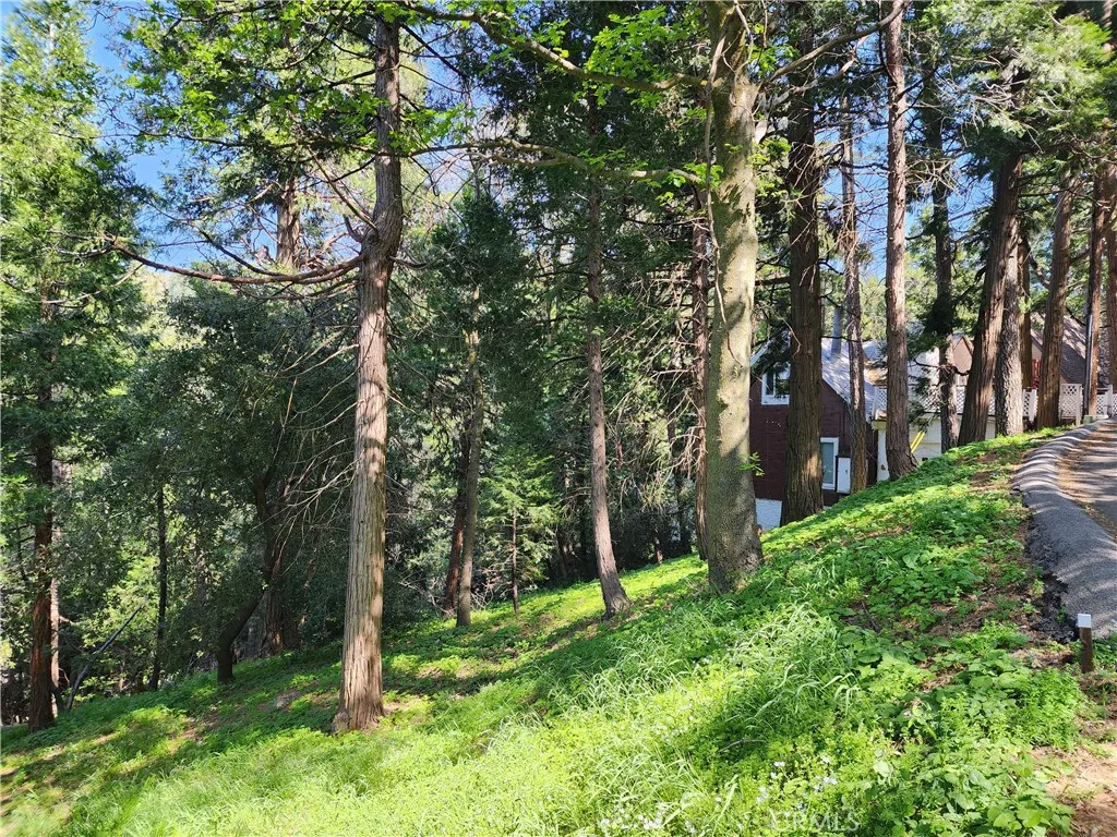 Additional image 31 of 811 Deer Trail, Crestline, CA 92325