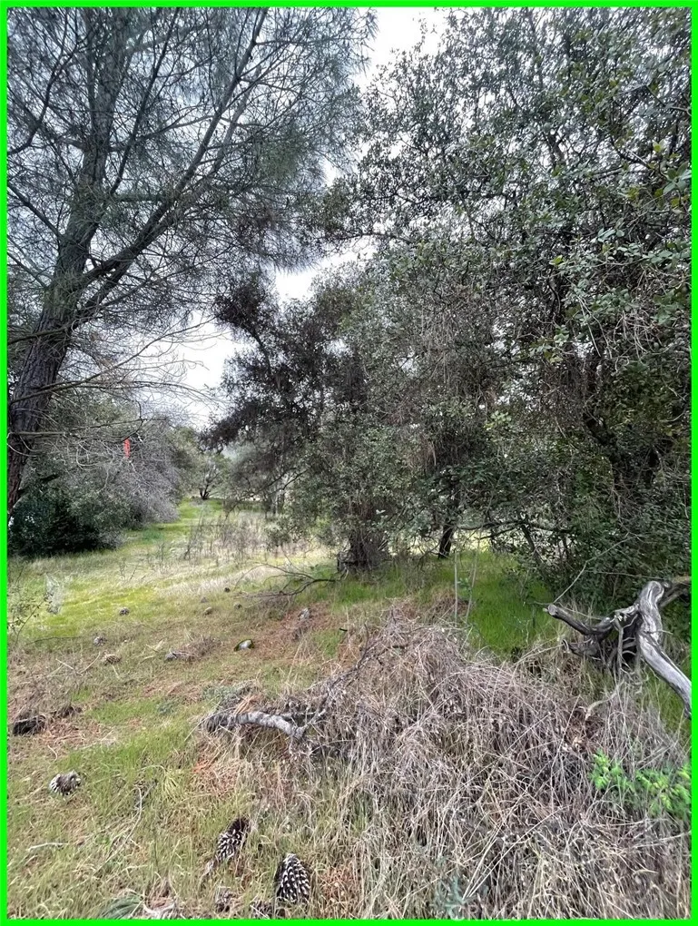 Additional image 16 of 13672 Fair Oak Road, Clearlake, CA 95424