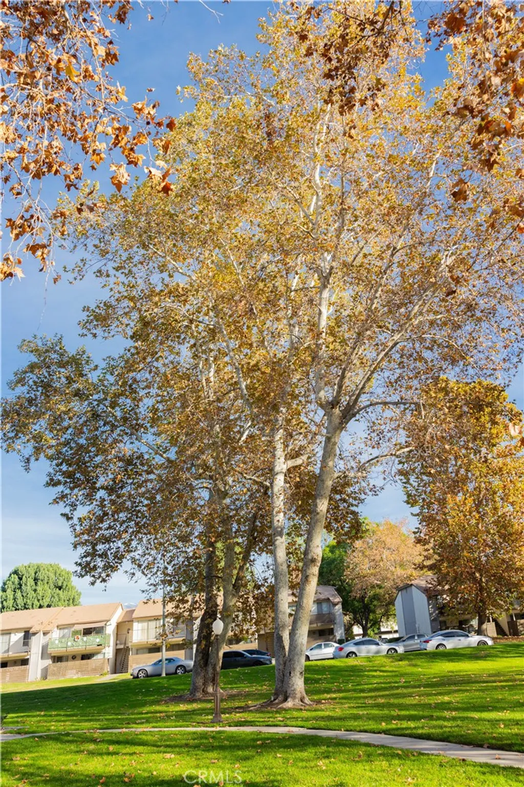 Additional image 46 of 1219 N Edwards Street Unit 33, Redlands, CA 92374