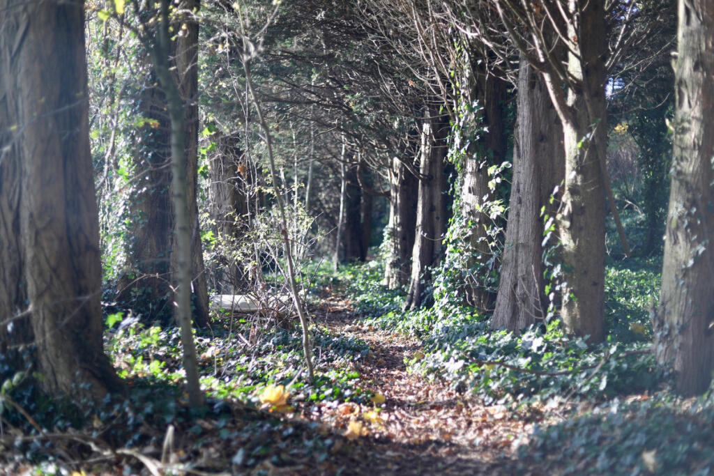 Additional image 22 of Sparrey Drive, Birmingham, B30