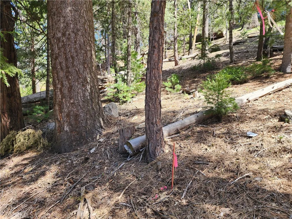 Additional image 42 of 586 Rose Ln, Twin Peaks, CA 92391