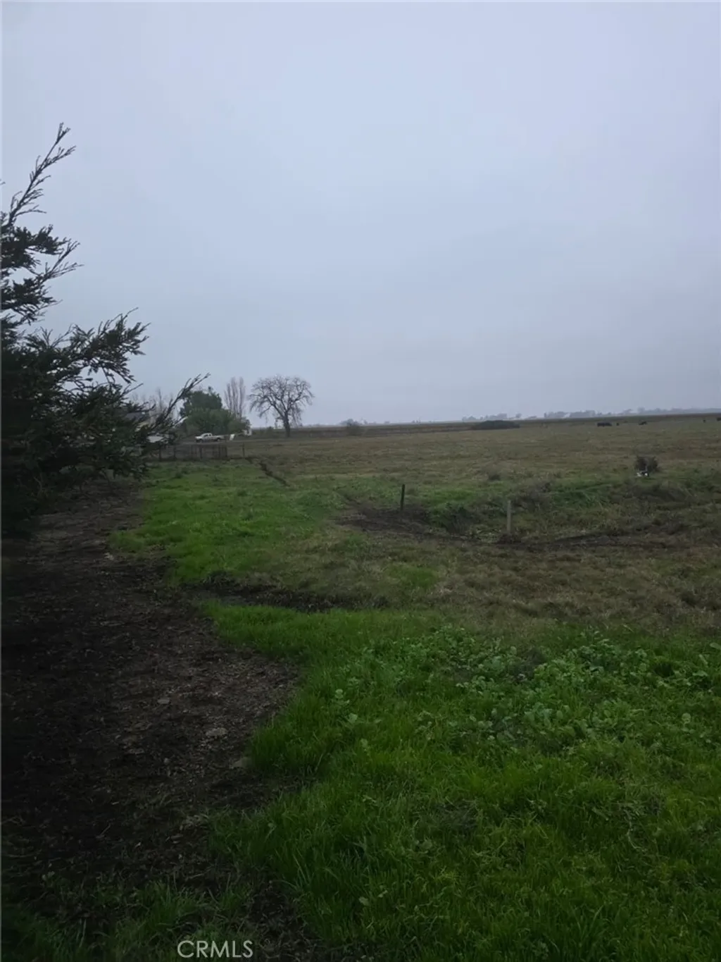 Additional image 3 of W Walker Landing, , CA 95690