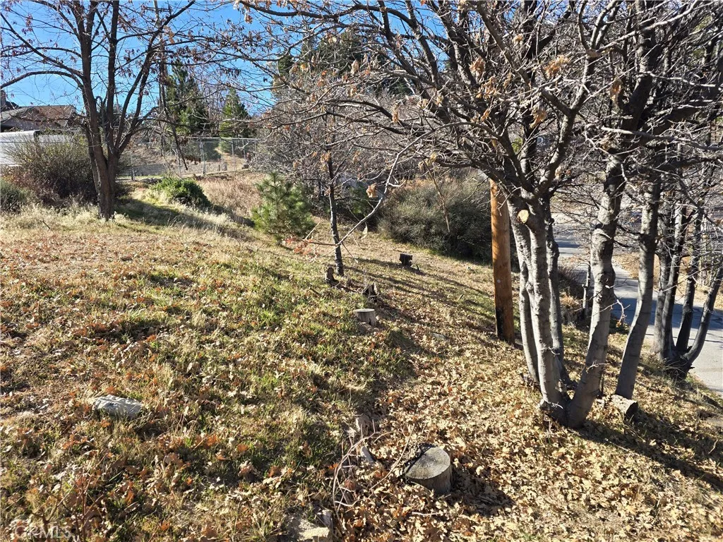 Additional image 8 of 2350 deep creek, Running Springs, CA 92382