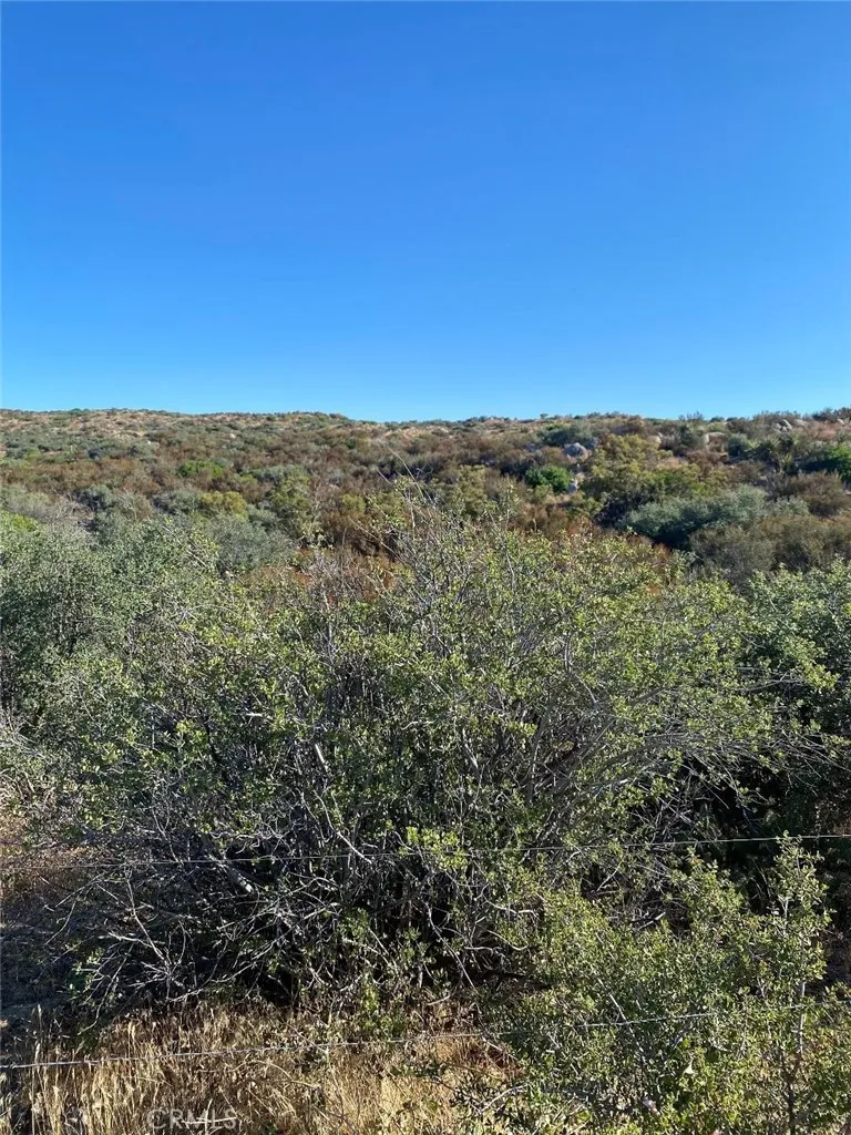 Additional image 54 of 63151 Table Mountain Truck, Anza, CA 92561