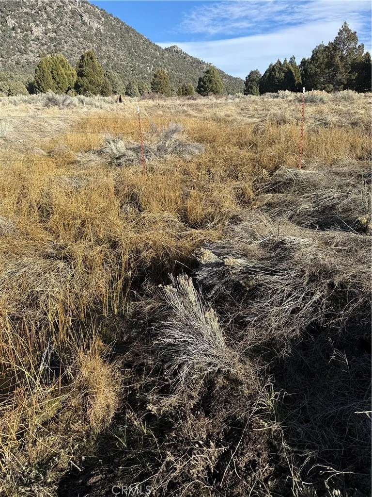 Additional image 17 of 310-190-028 Sacatar Ranch Road, Kennedy Meadows, CA 93527