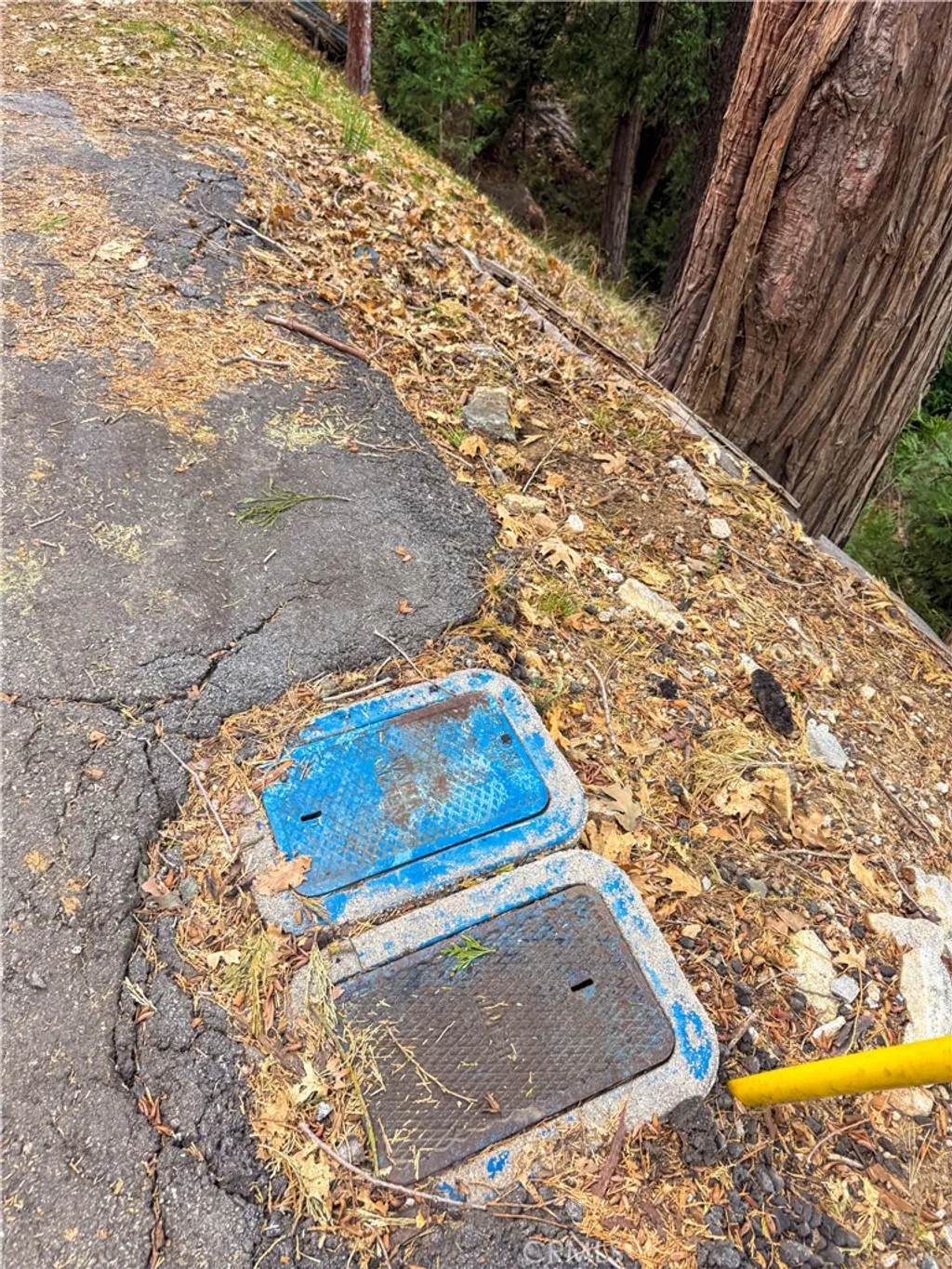 Additional image 20 of 21614 Canyon Vista, Crestline, CA 92322