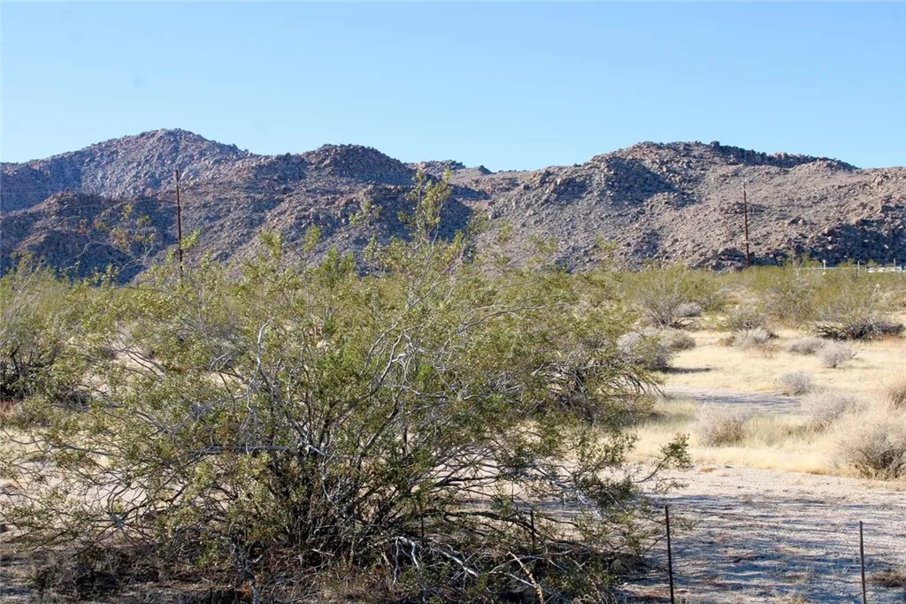 Additional image 10 of 659904 Dorth Place, 29 Palms, CA 92277