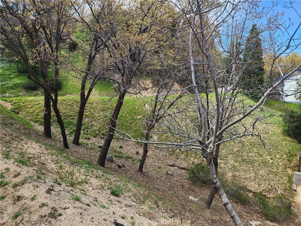 Additional image 29 of 327 Davos Drive, Crestline, CA 92325