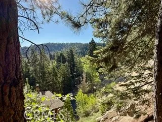 Additional image 39 of 872 Sierra Vista Dr, Twin Peaks, CA 92391