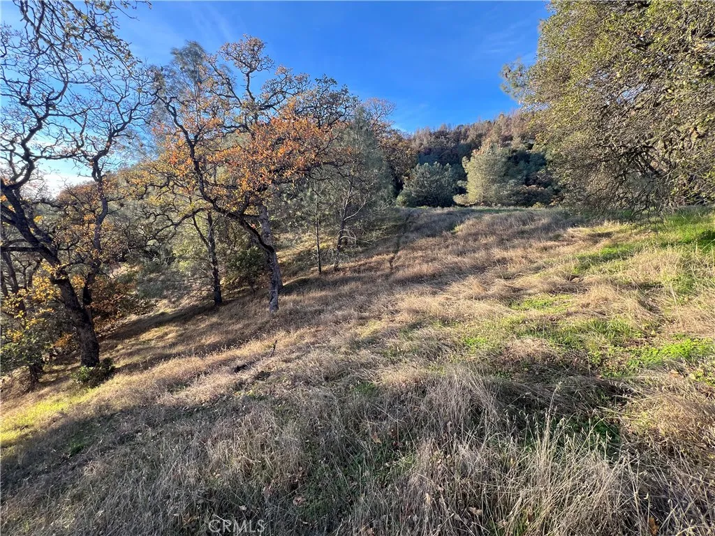 Additional image 7 of 11872 Konocti Dr, Clearlake Oaks, CA 95423