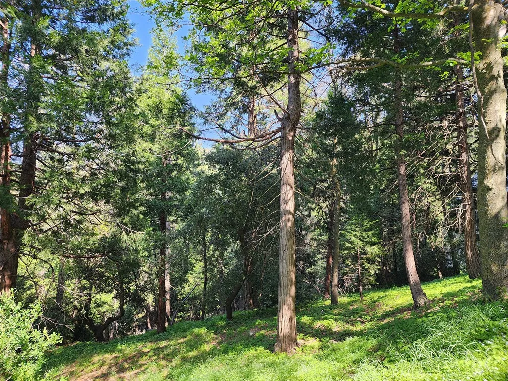 Additional image 32 of 811 Deer Trail, Crestline, CA 92325