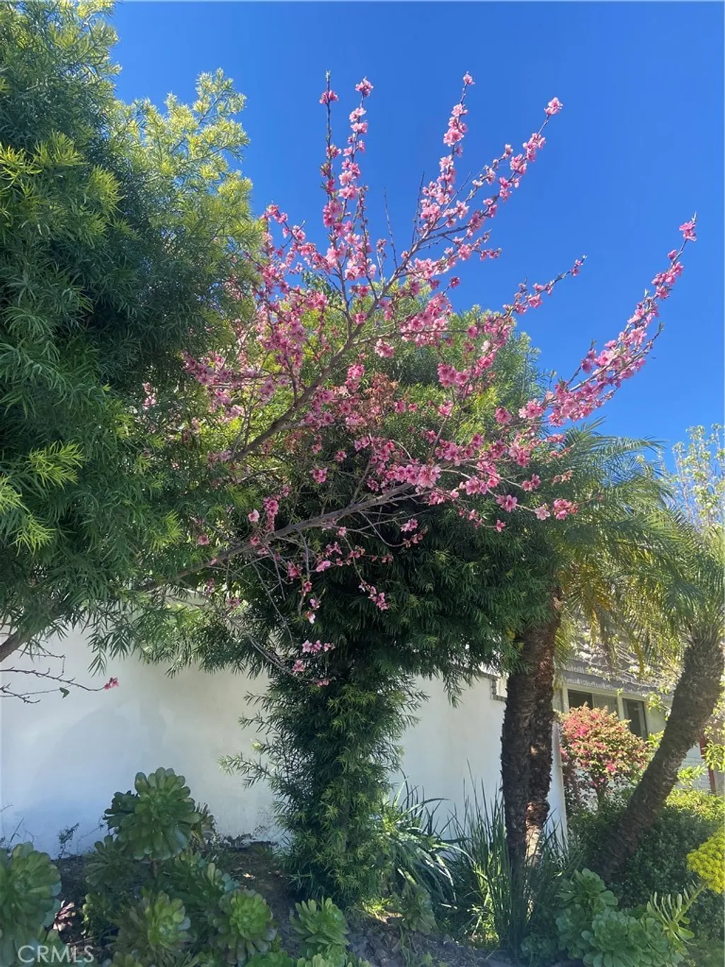 Additional image 4 of 17041 Escalon Drive, Encino, CA 91436