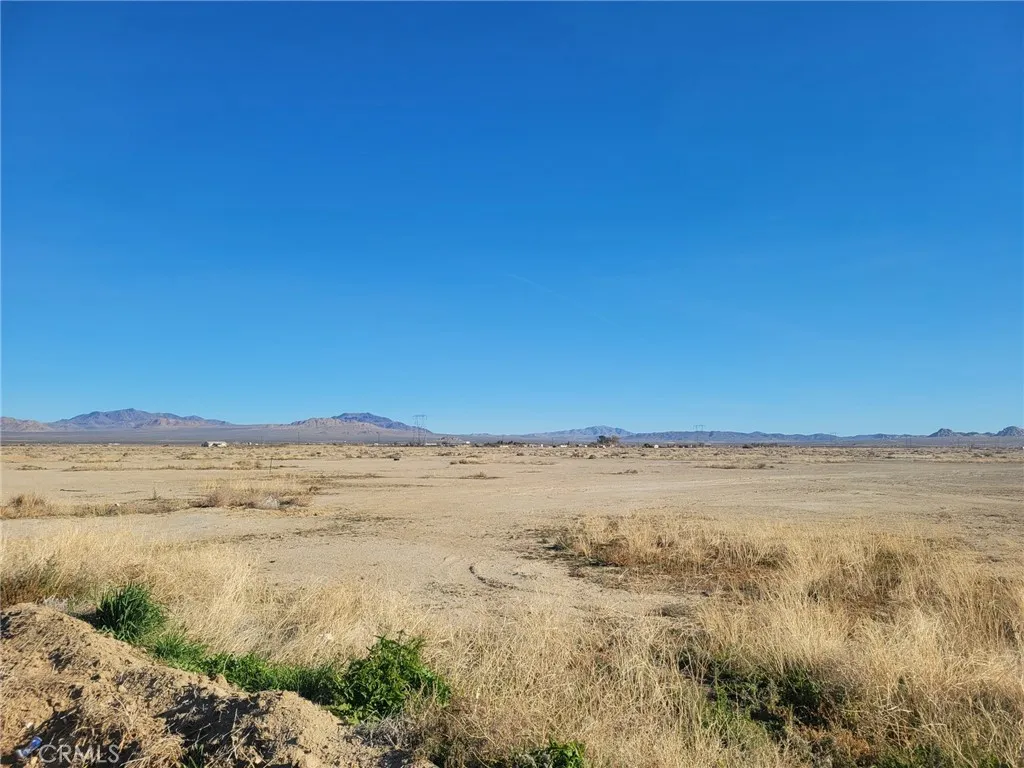 Additional image 3 of Locust, Lucerne Valley, CA 92356
