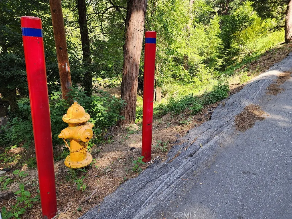 Additional image 29 of 811 Deer Trail, Crestline, CA 92325