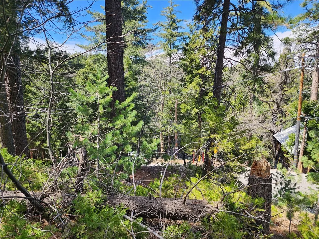 Additional image 37 of 586 Rose Ln, Twin Peaks, CA 92391