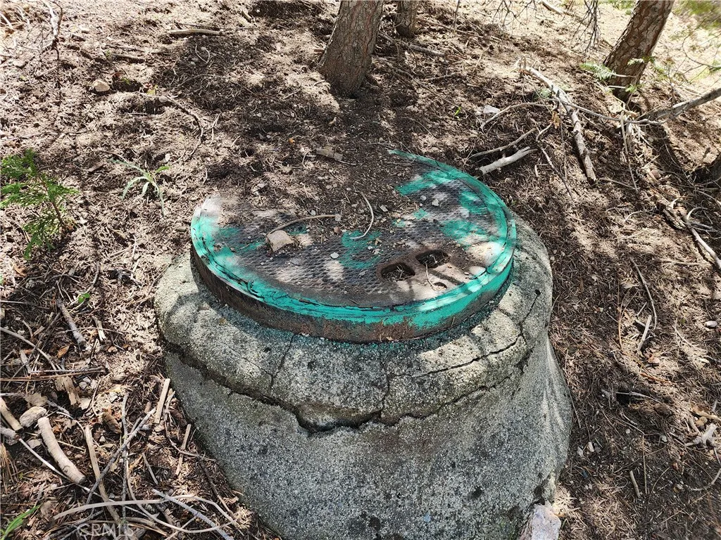 Additional image 35 of 586 Rose Ln, Twin Peaks, CA 92391