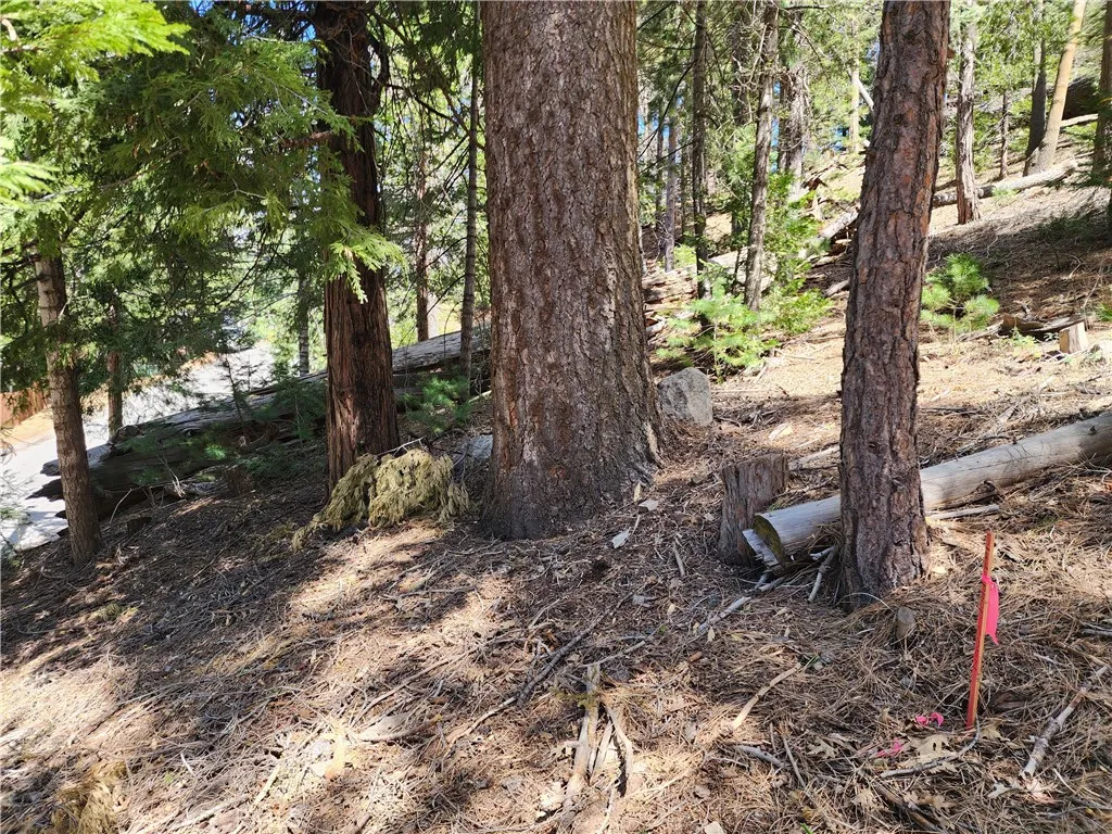 Additional image 20 of 586 Rose Ln, Twin Peaks, CA 92391