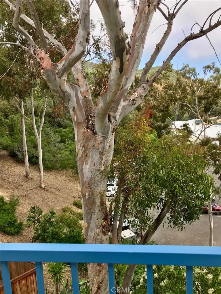 Additional image 18 of 166 High Drive, Laguna Beach, CA 92651