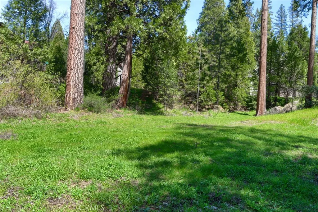 Additional image 19 of Dogwood Creek Drive, Bass Lake, CA 93604