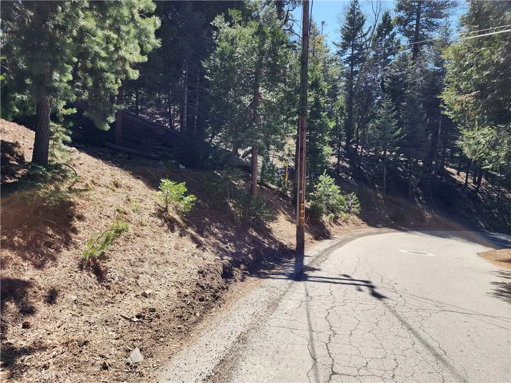 Additional image 23 of 586 Rose Ln, Twin Peaks, CA 92391