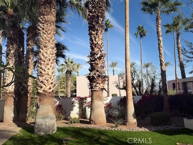 Additional image 43 of 45225 Sunset Lane B9 #1, Palm Desert, CA 92260