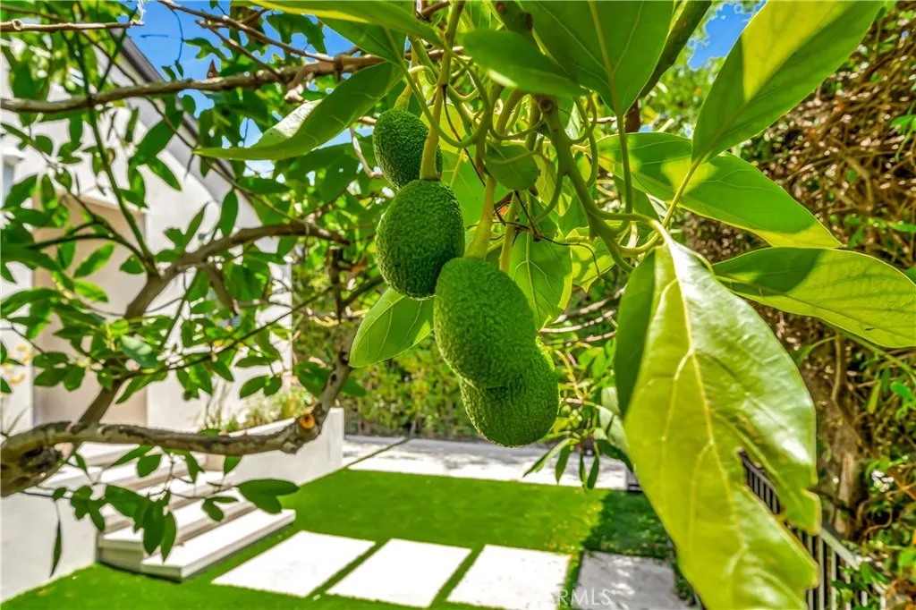 Additional image 107 of 6743 Colgate Avenue, Los Angeles, CA 90048