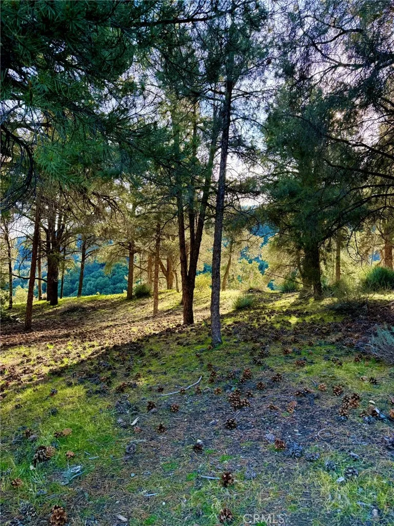 Additional image 9 of 2604 Tirol, Pine Mountain Club, CA 93225