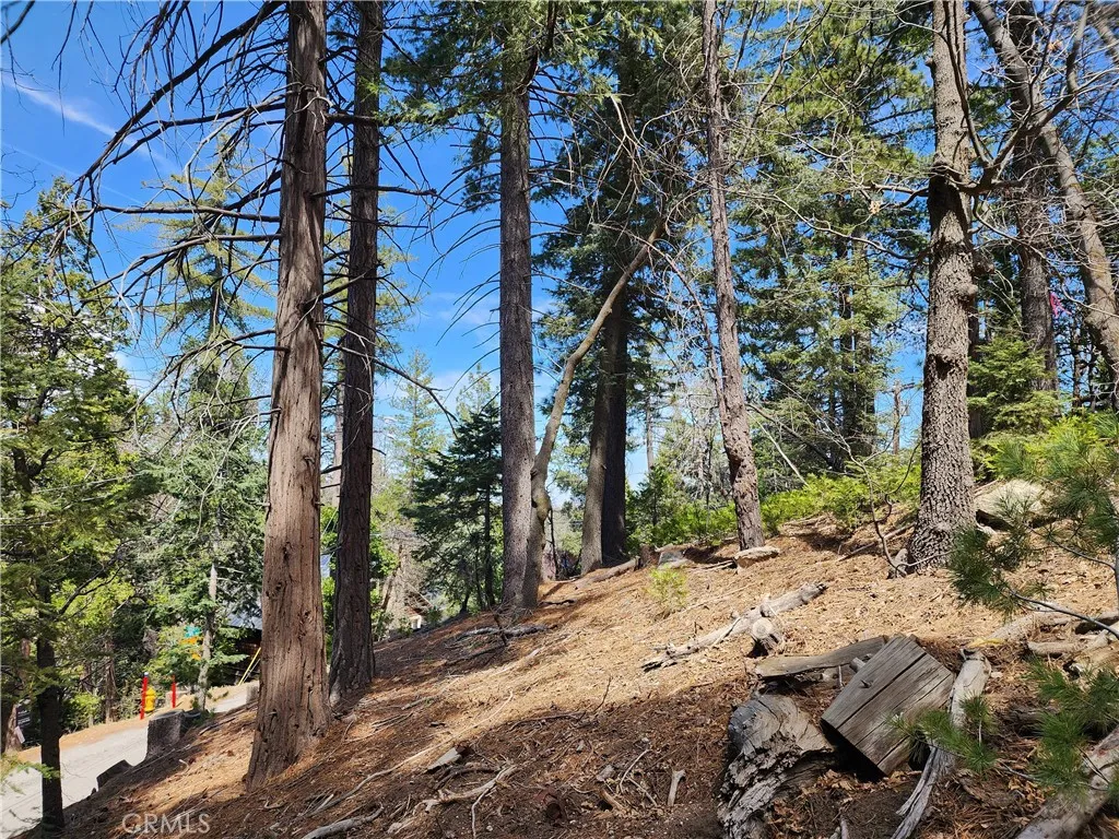 Additional image 17 of 586 Rose Ln, Twin Peaks, CA 92391