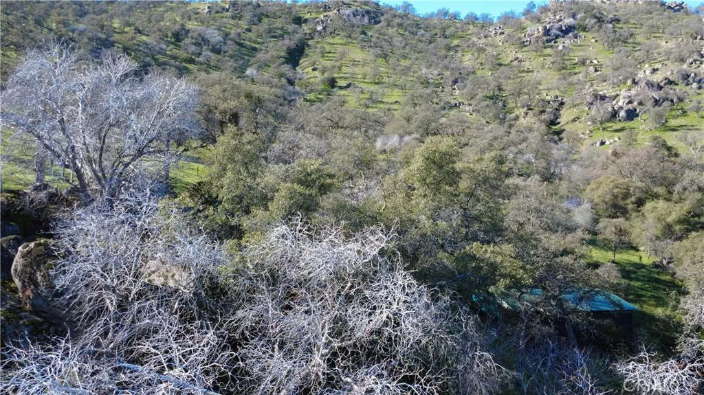 Additional image 12 of 37087 Pebble Ln, Squaw Valley, CA 93675