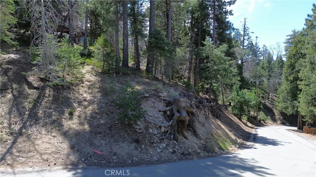 Additional image 48 of 586 Rose Ln, Twin Peaks, CA 92391