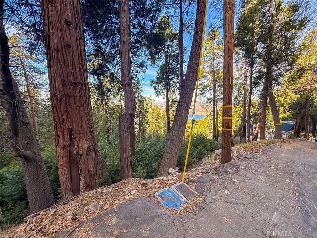 Additional image 38 of 21614 Canyon Vista, Crestline, CA 92322
