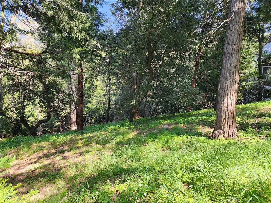 Additional image 5 of 811 Deer Trail, Crestline, CA 92325