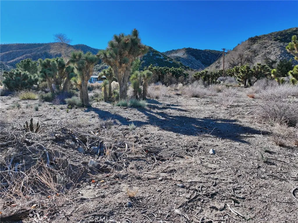 Additional image 11 of 7325 Desert Front Road, Pinon Hills, CA 92397