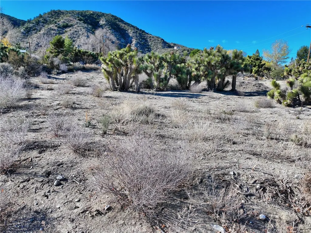 Additional image 7 of 7325 Desert Front Road, Pinon Hills, CA 92397