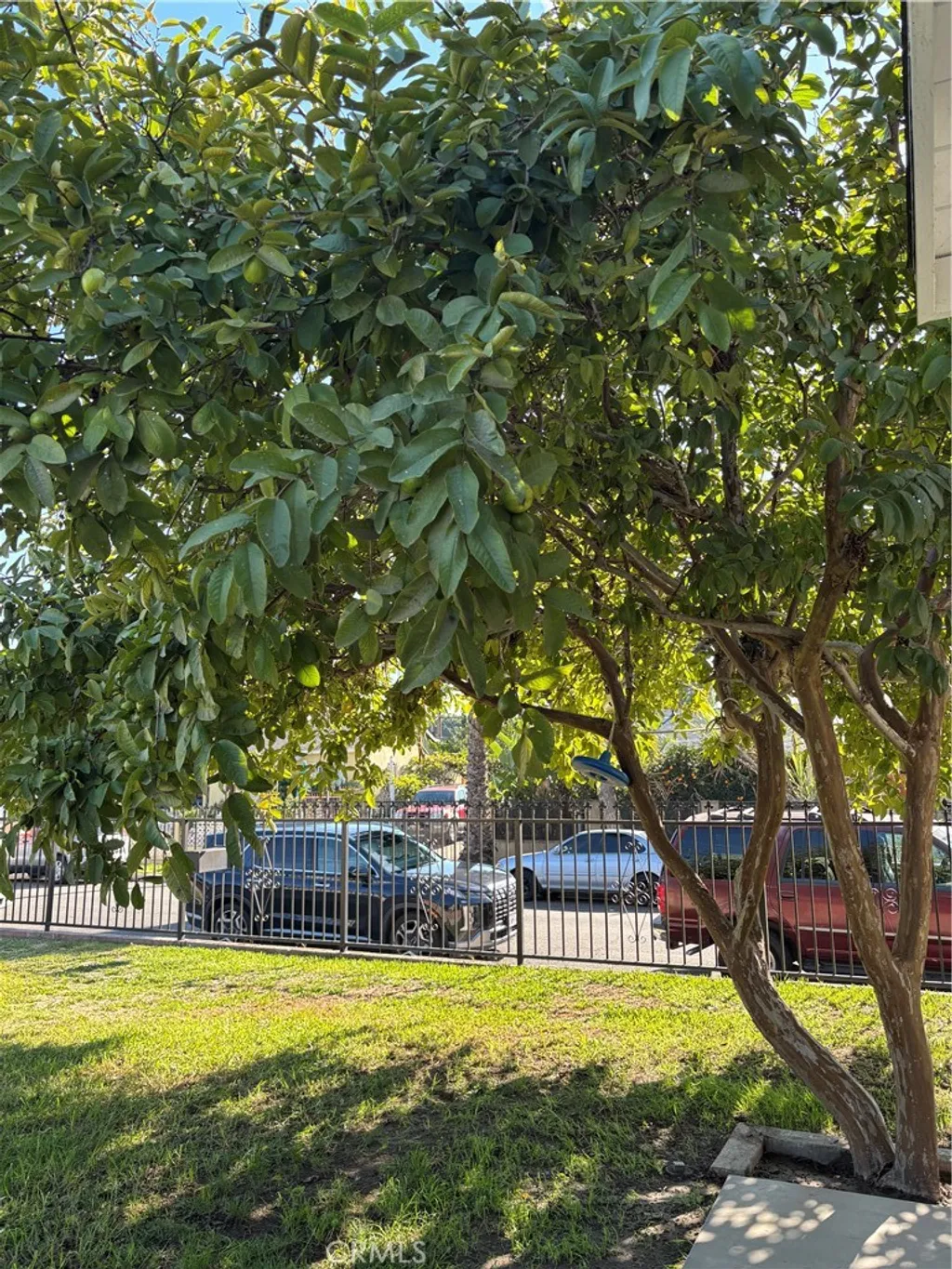 Property image for 6537 San Miguel St, Paramount, CA 90723