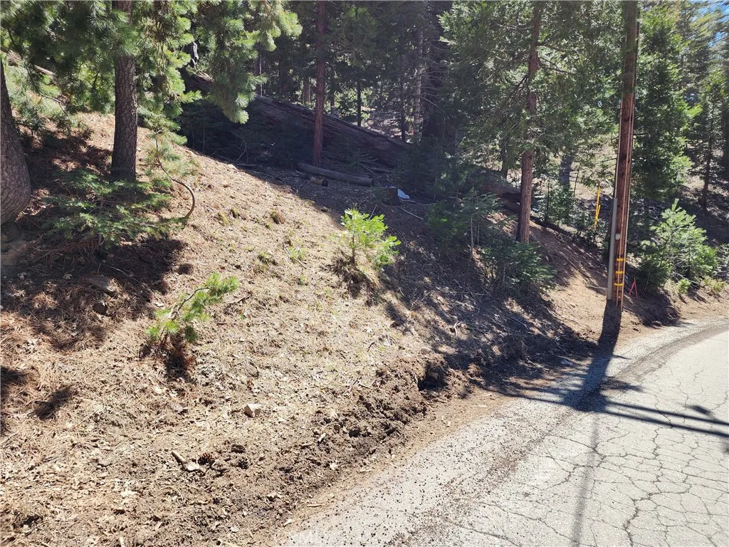 Additional image 47 of 586 Rose Ln, Twin Peaks, CA 92391