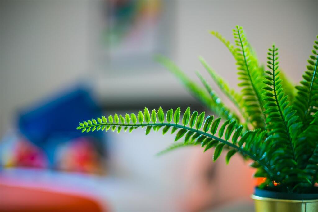 Additional image 20 of Two Gates, Halesowen