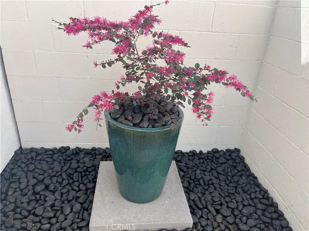 Additional image 27 of 70 Shearwater Pl, Newport Beach, CA 92660