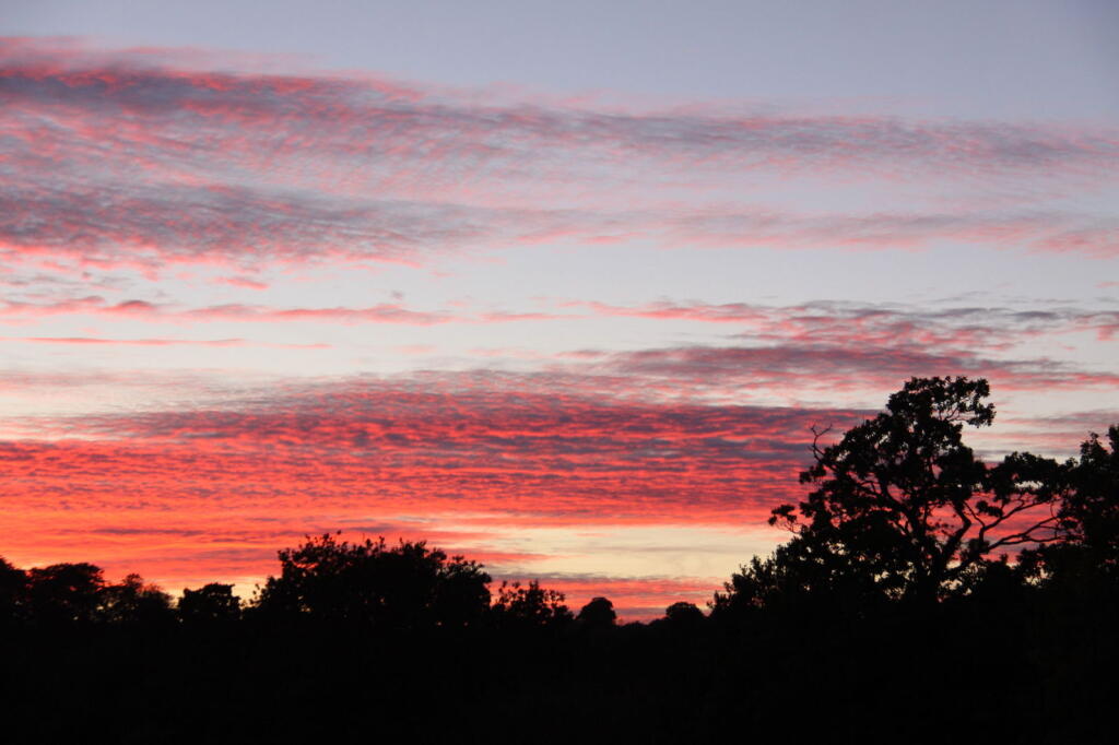 Additional image 17 of HALESOWEN, Sidlaw Close