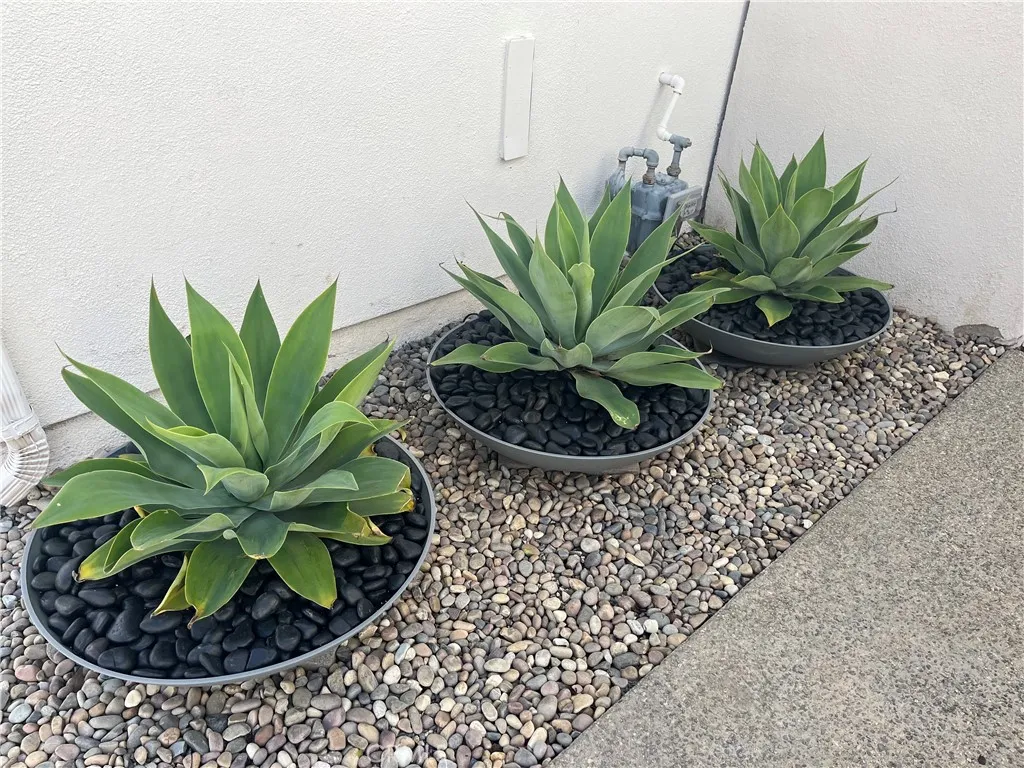 Additional image 31 of 70 Shearwater Pl, Newport Beach, CA 92660