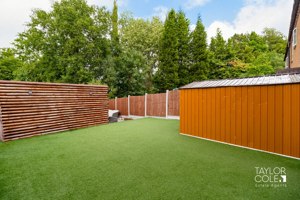 Additional image 20 of Sorrel, Tamworth