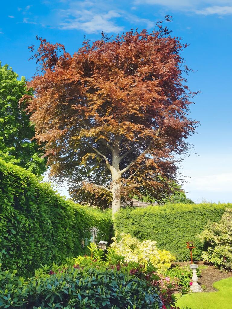 Additional image 37 of Cottesmore Close, West Bromwich, B71