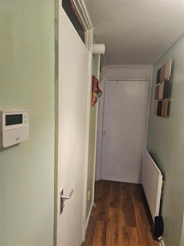 Additional image 11 of Sorrel, Tamworth