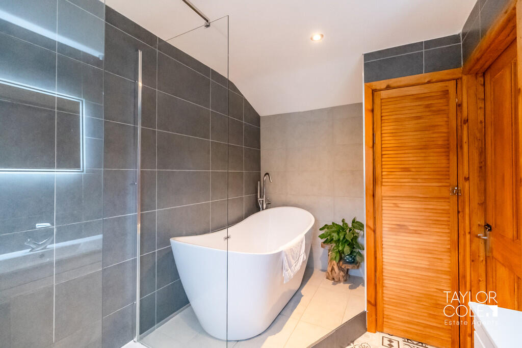 Additional image 18 of Sorrel, Tamworth